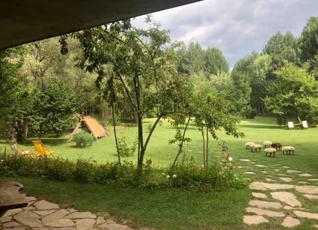 Ресторант 7